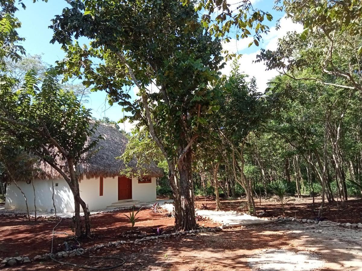 Cabana Magica & Yoga Ekbalán 外观 照片
